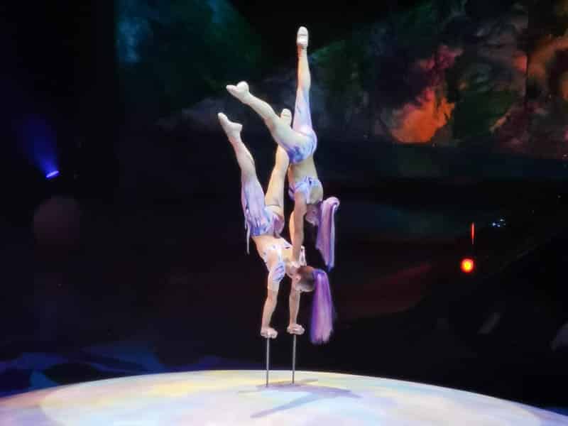 artistas mystere
